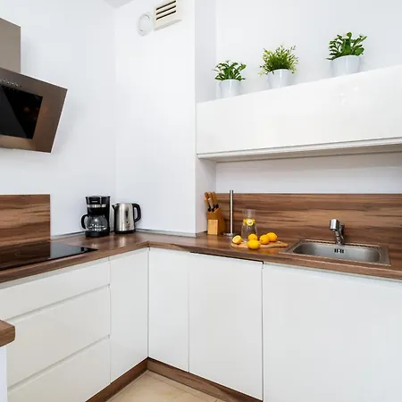 Kozielska Z Pieknym Ogrodem I Tarasem Gliwice