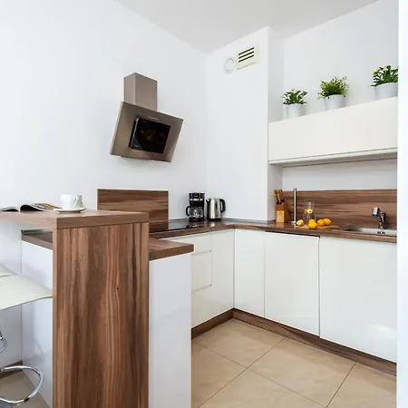 Kozielska Z Pieknym Ogrodem I Tarasem Gliwice